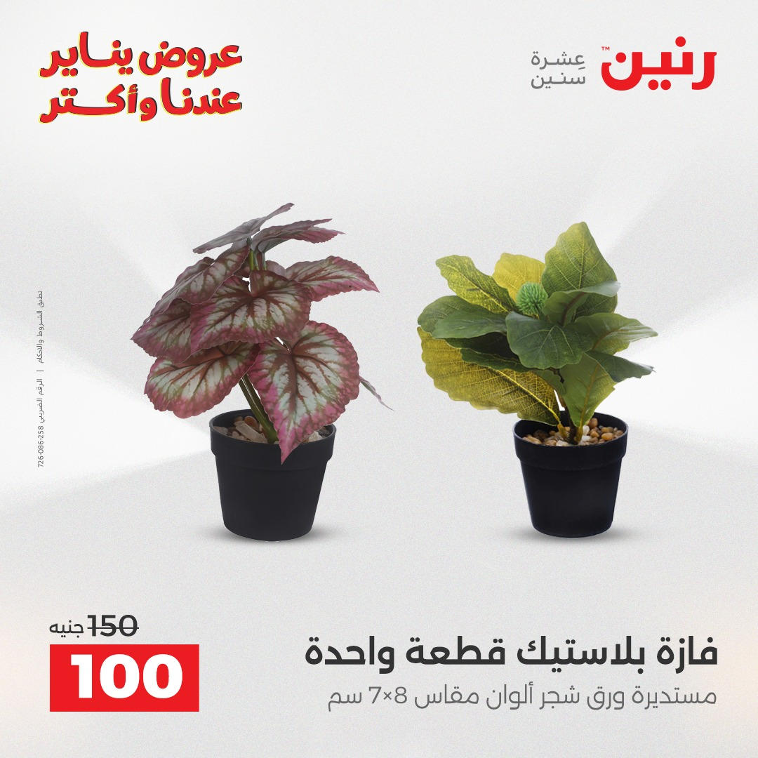 عروض رنين من 8 يناير حتى 10 يناير 2026 صفحة 37 - raneen offers from 8 January to 10 January 2026 page 37